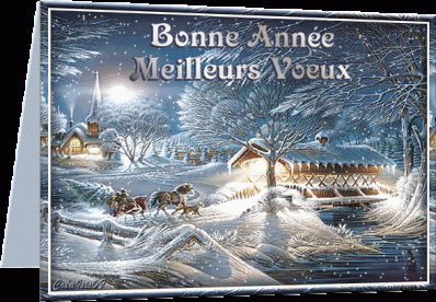 Joyeuses fetes et bonne annee c